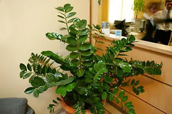 Hotel-restaurant Stand'inn Hotell Foetz